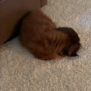 Meet your Posher, John